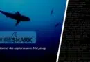 Wireshark - Fusionner des captures avec Mergecap