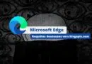 Microsoft Edge - Requêtes douteuses vers bingapis.com