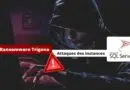 Ransomware Trigona - Attaque SQL Server