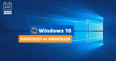 Windows 10 - KB5025221 et KB5025229