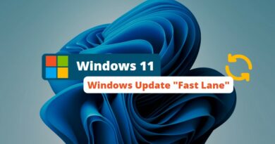 Windows 11 - Windows Update Fast Lane