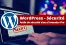 WordPress - Faille Elementor Pro - Mars 2023
