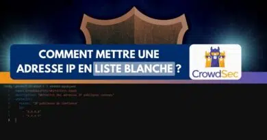 CrowdSec whitelist adresse IP