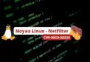 Faille Noyau Linux - Netfilter - CVE-2023-32233