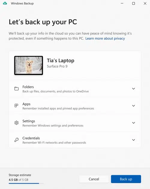 Windows 11 - Windows Backup