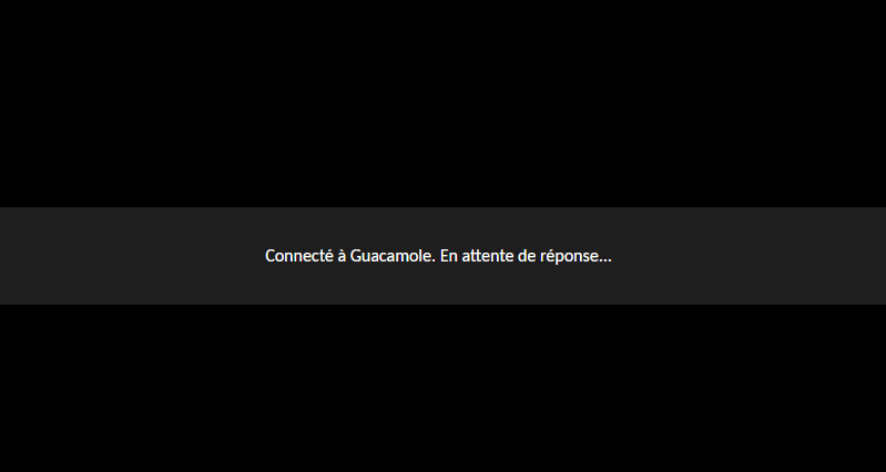 Apache Guacamole - Connexion en cours