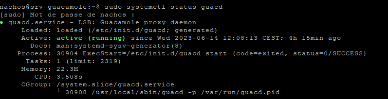 Etat du service Apache Guacamole (guacd)