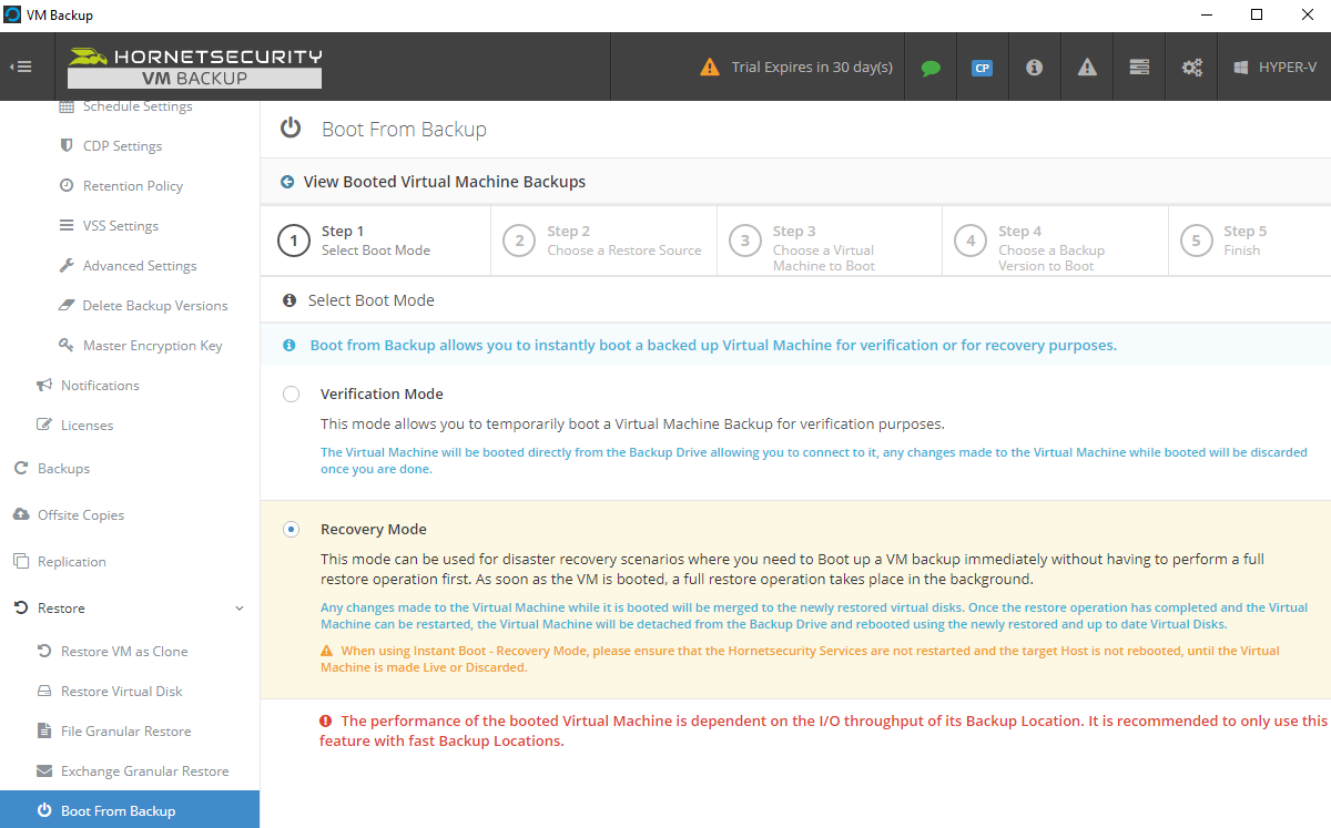 Hornetsecurity VM Backup - Boot from Backup