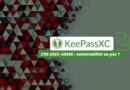 KeePassXC CVE-2023–35866