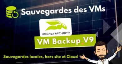 Review Hornetsecurity (ALTARO) VM Backup