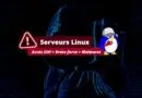 Serveurs Linux - Brute force SSH - Juin 2023
