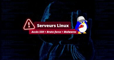 Serveurs Linux - Brute force SSH - Juin 2023