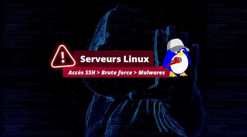 Serveurs Linux - Brute force SSH - Juin 2023