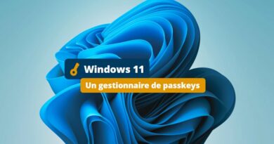Windows 11 passkeys Windows Hello