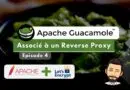 Apache Guacamole reverse proxy apache