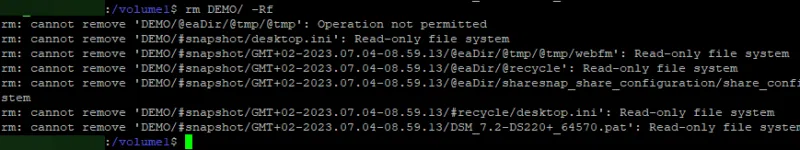 DSM - Tentative suppression snapshot immuable