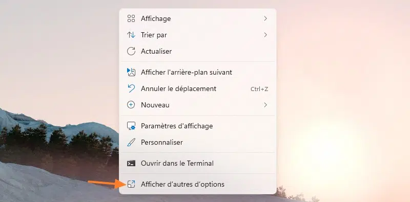 Windows 11 - Afficher d'autres options