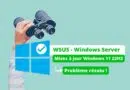 WSUS - Windows Server - Erreur mises à jour Windows 11 22H2