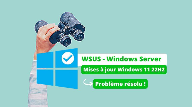 WSUS - Windows Server - Erreur mises à jour Windows 11 22H2