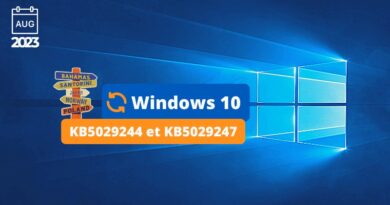 Windows 10 - KB5029244 et KB5029247