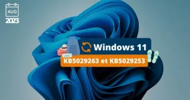 Windows 11 - KB5029263 et KB5029253
