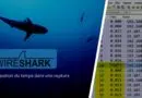 Wireshark - Gestion du temps