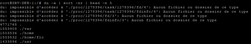 Dossiers les plus volumineux sous Linux
