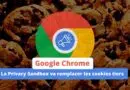 Google Chrome Privacy Sandbox