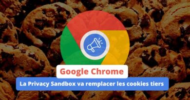Google Chrome Privacy Sandbox