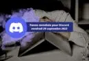 Panne mondiale pour Discord vendredi 29 septembre 2023