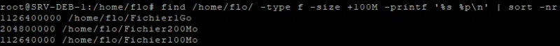 Rechercher les gros fichiers sous Linux