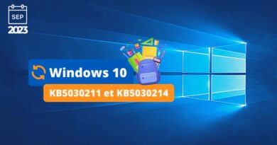 Windows 10 KB5030211 et KB5030214
