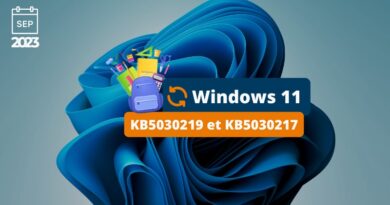 Windows 11 KB5030219 et KB5030217