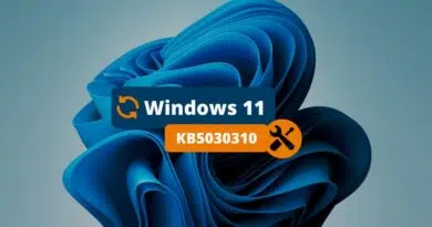 Windows 11 KB5030310