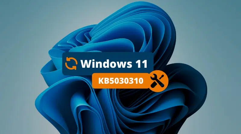 Windows 11 KB5030310