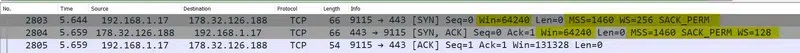 Aperçu connexion TCP dans Wireshark