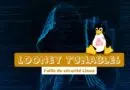 Faille de sécurité Linux Looney Tunables