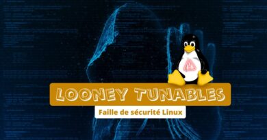 Faille de sécurité Linux Looney Tunables