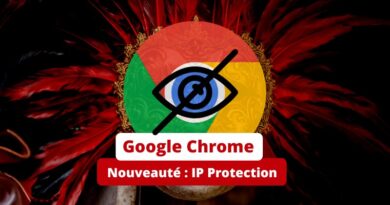 Google Chrome IP Protection