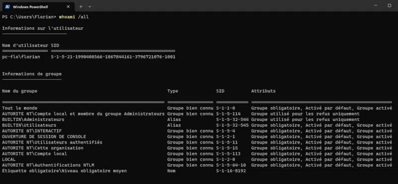 Jeton SID whoami Windows