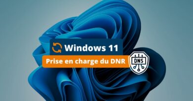 Windows 11 Prise en charge du DNR