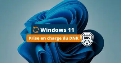 Windows 11 Prise en charge du DNR