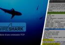 Wireshark - Analyse connexion TCP avec options