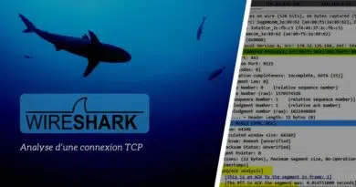 Wireshark - Analyse connexion TCP avec options