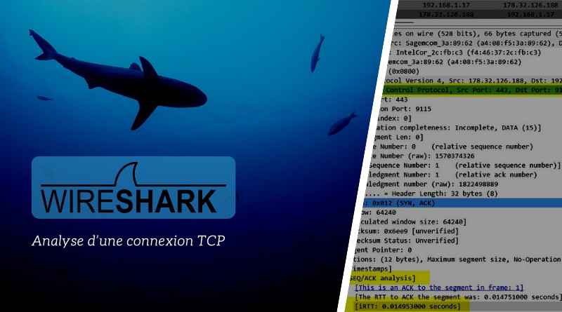 Wireshark - Analyse connexion TCP avec options