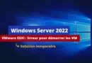 Ecran bleu VM Windows Server 2022 sous VMware ESXi (KB5031364) - Solution temporaire
