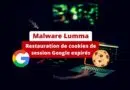 Malware Lumma - Restauration de cookies de session Google expirés