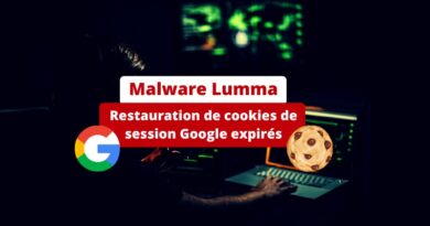 Malware Lumma - Restauration de cookies de session Google expirés