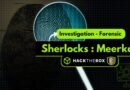 Solution Sherlocks Meerkat Hack the box