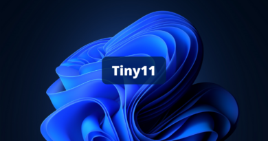 Tiny11 - Version allégée Windows 11 23H2
